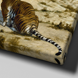 Canvas frame (mirrored motive)