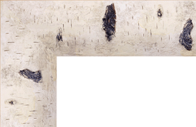 Painting frame