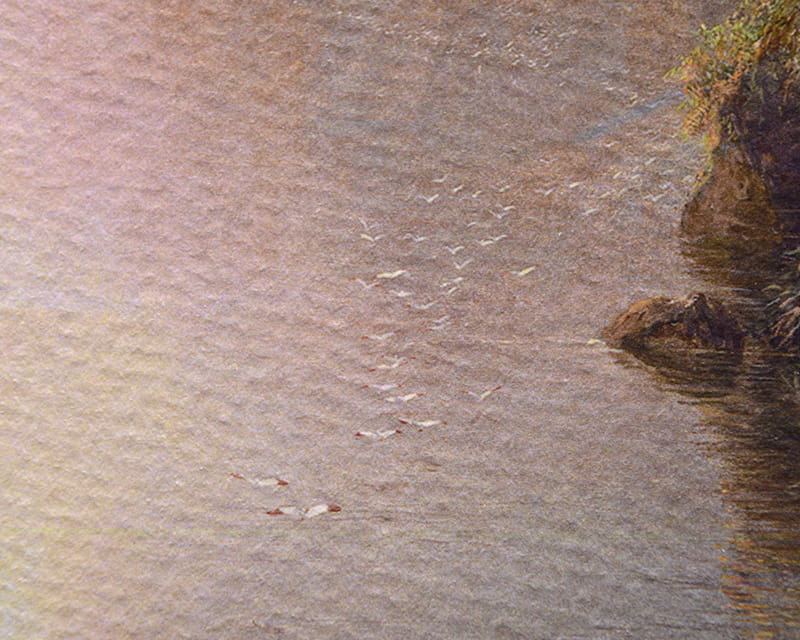 Watercolor Cardboard Dürer (Hahnemühle Albrecht Dürer)  28