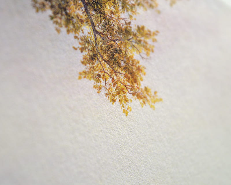Bamboo, 110g (Smooth bamboo washi)  12