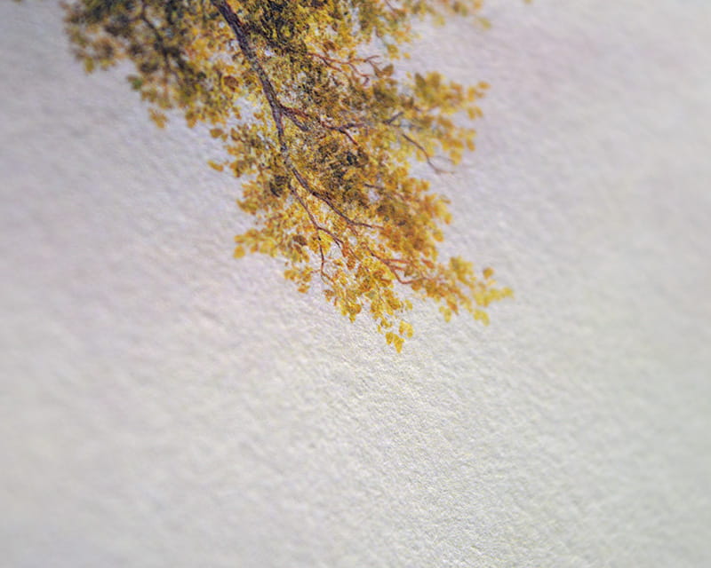 Kozo White, 110g (Mulberry fiber paper, white)  14