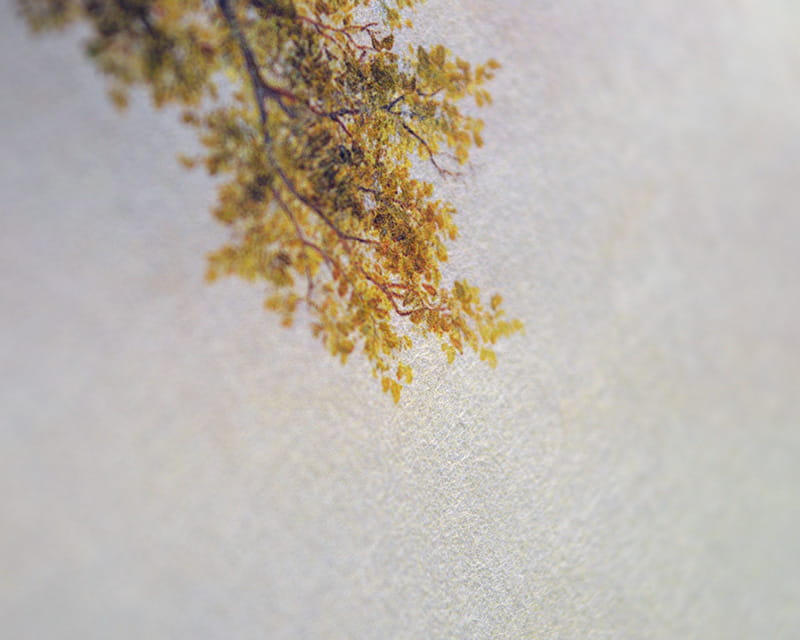 Murakumo Natural, 42g (Thin Japanese paper, natural)  14