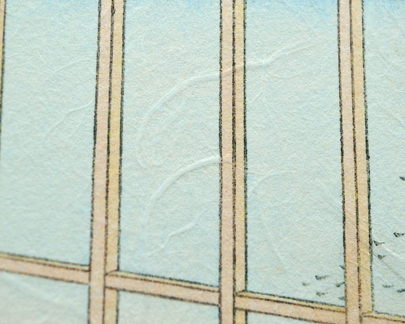 Premio Unryu, 165g (Washi with cloudy kozo fibers)  11
