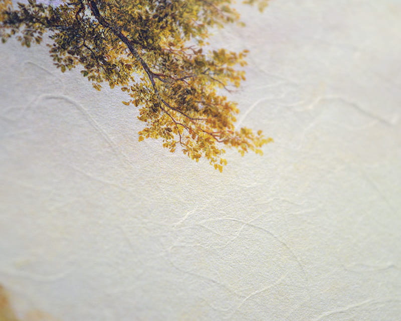 Premio Unryu, 165g (Washi with cloudy kozo fibers)  15