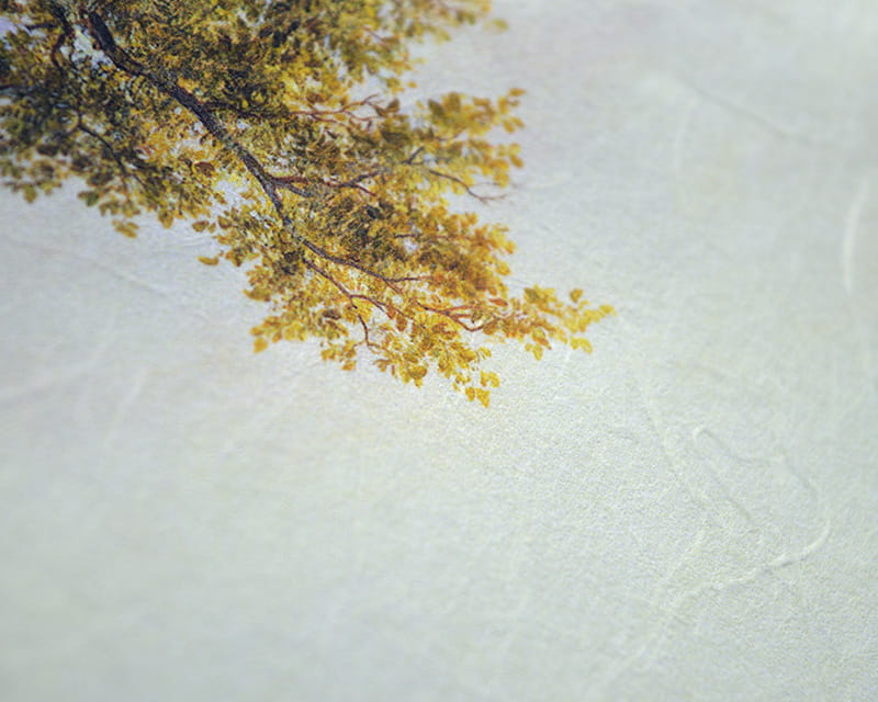 Unryu, 55g (Washi with cloudy kozo fibers)  16