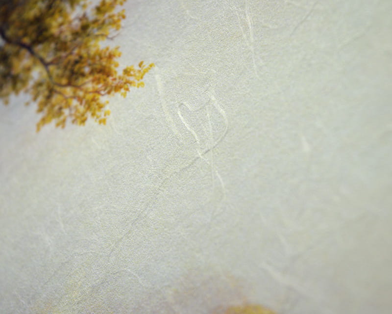 Unryu, 55g (Washi with cloudy kozo fibers)  17