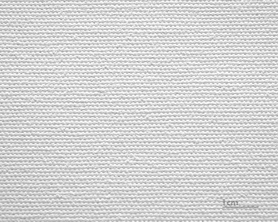 Canvas Salvador (matte)