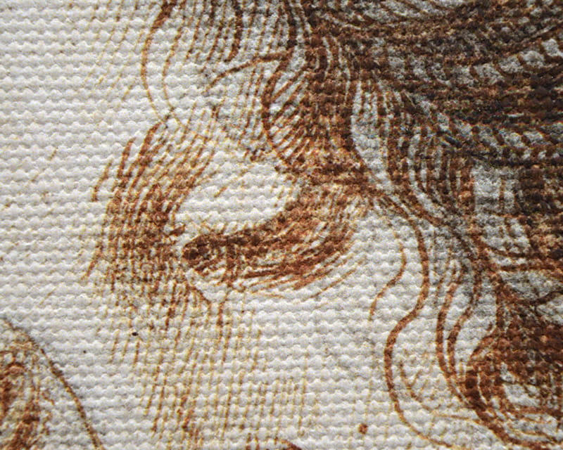Canvas Salvador (matte) (Canvas Florenz)  33