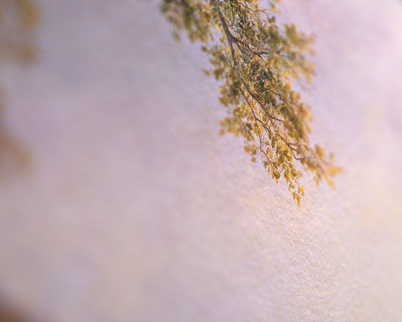 Natural Line Hemp (Hahnemühle Natural Hemp)  10