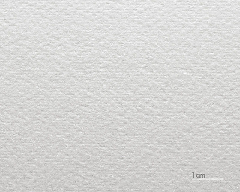 Watercolor Cardboard Renoir (Museum Watercolor 310)  1