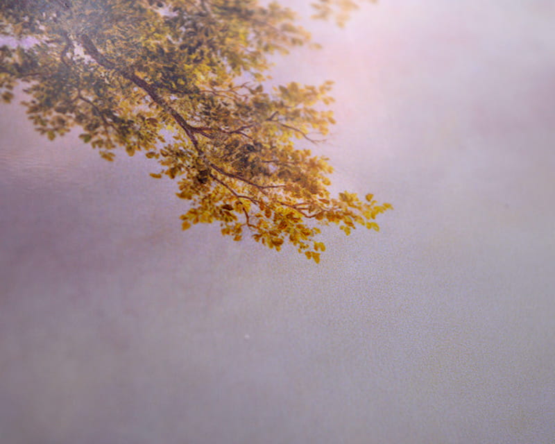 FineArt Photo Glossy (PGC 310 FD)  28