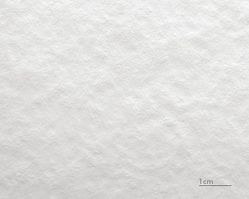 Watercolor Cardboard Munch (Hahnemühle Torchon 285)  1