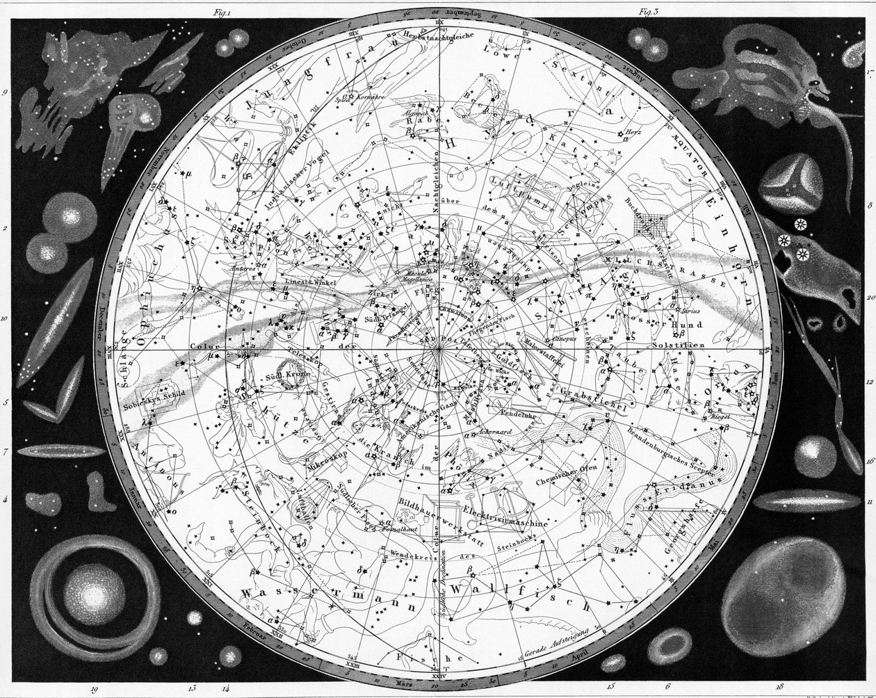 Map of the Southern Heavens by Unknown