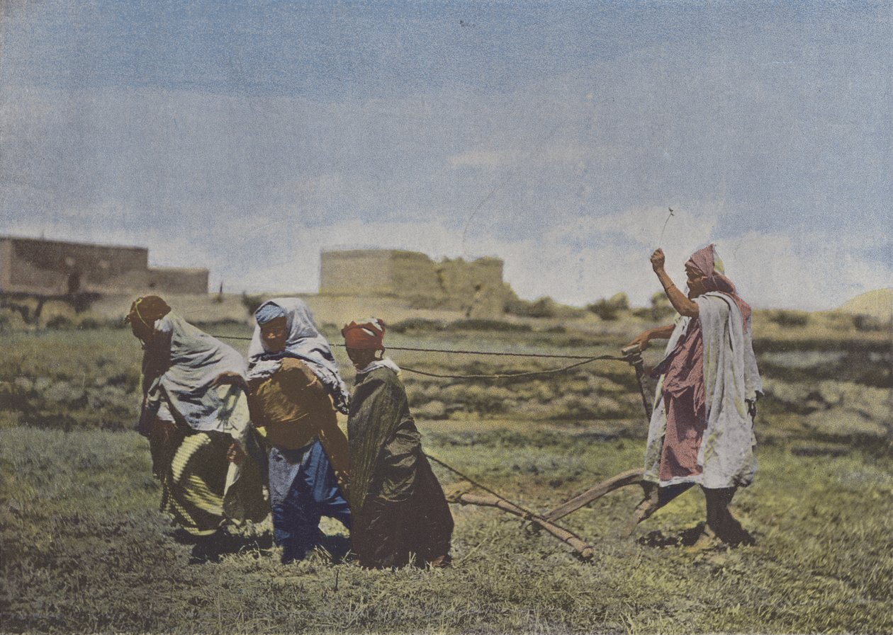 Plowing in Kabylie by (after) French Photographer