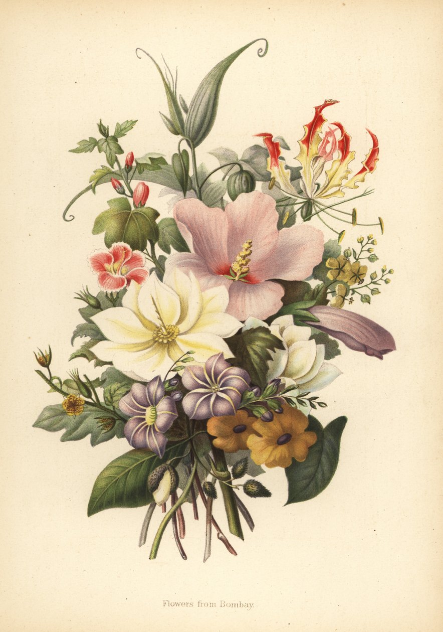 Flowers from Bombay, India by Unknown