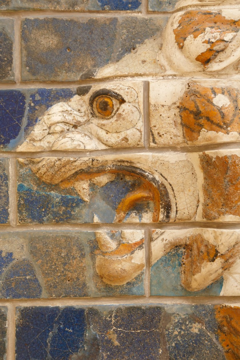 Istanbul, Turkey. Archaeological Museum. Glazed Brick Lion in Relief from the Procession Street, Babylon, Dating from the Nebuchadnezzar II Period circa 604-562 BC. by Unknown