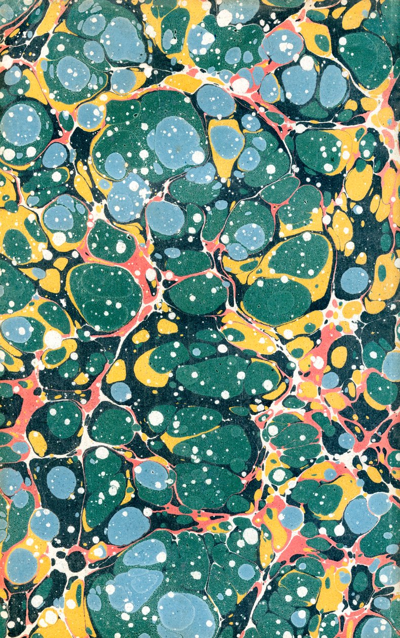 Decorative Endpaper from Book by Unknown