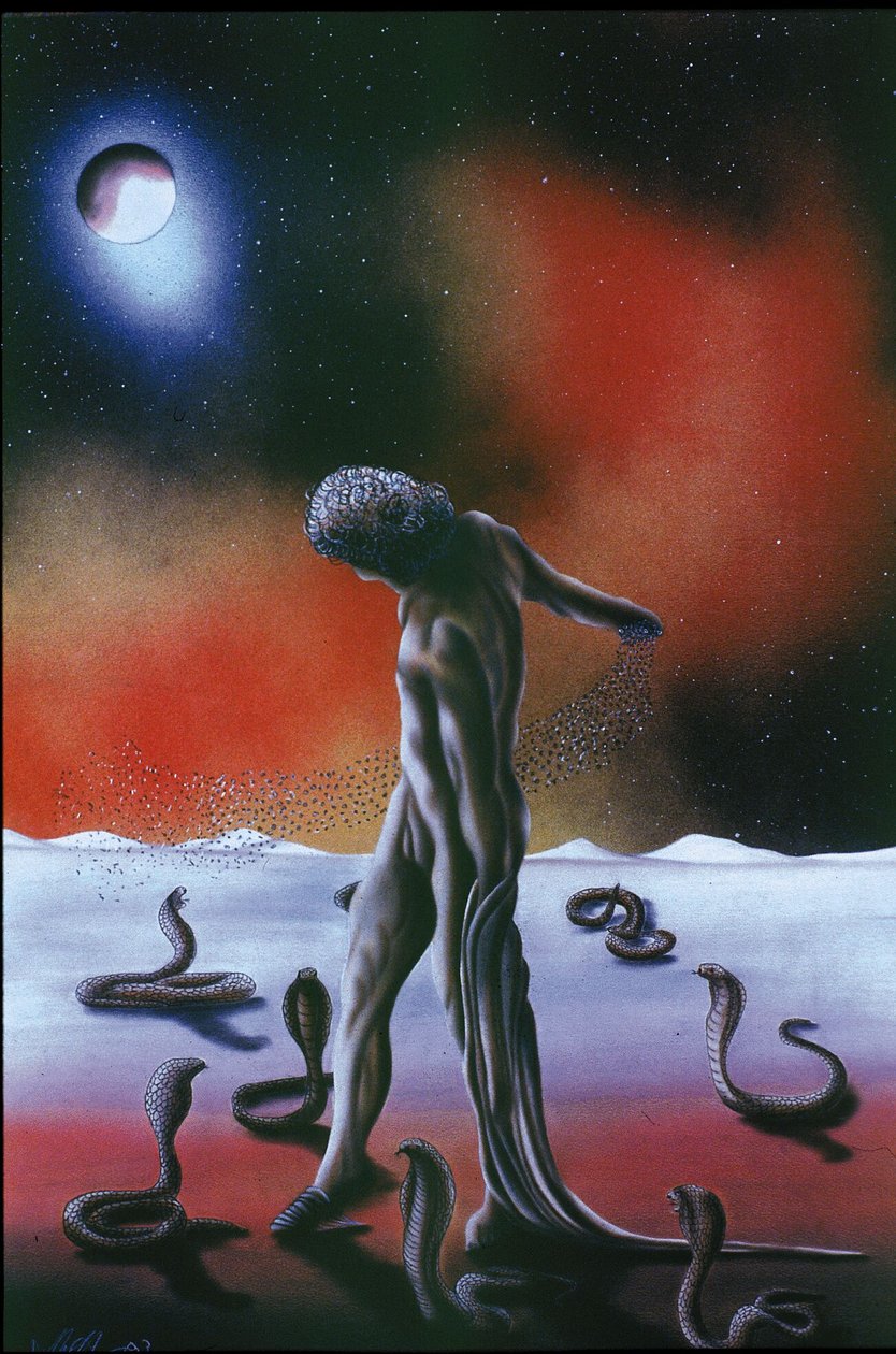 The Misunderstood by Anghel De Marco