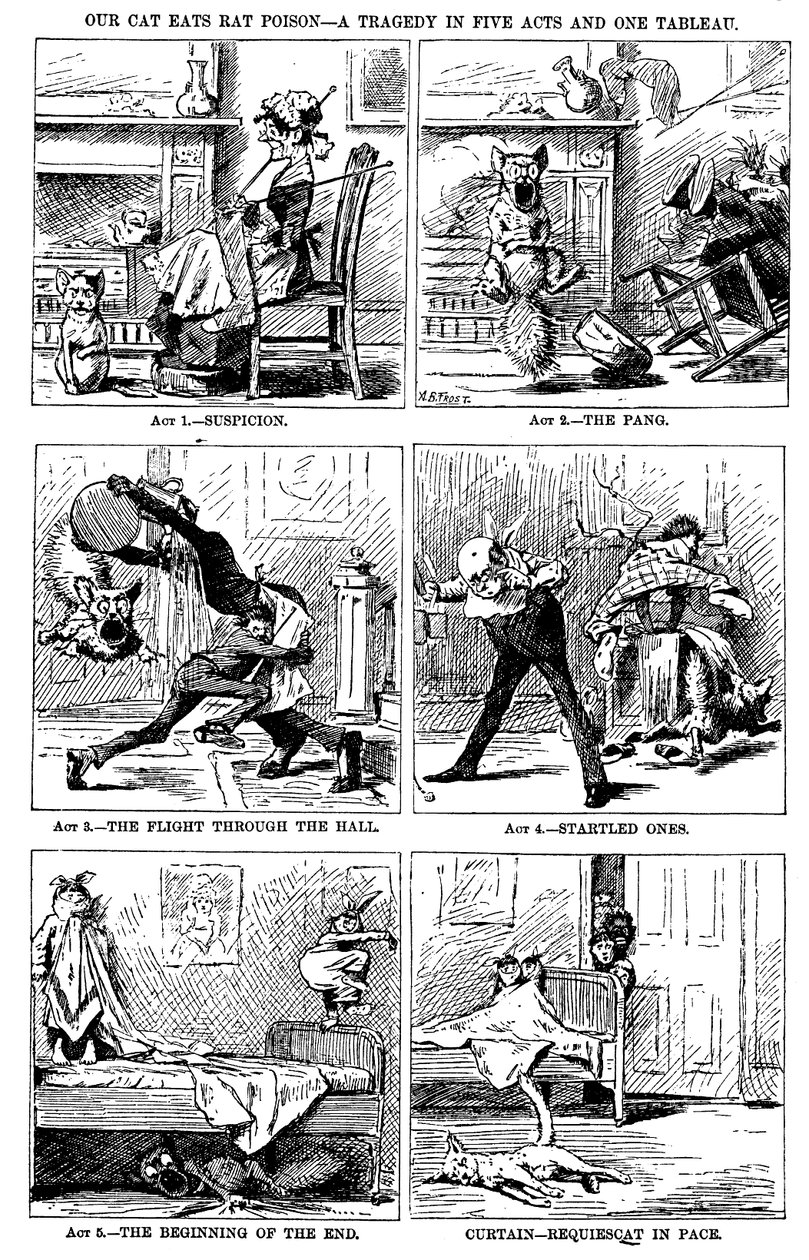 Our Cat Eats Rat Poison: A Tragedy in Five Acts and One Tableau by A. B. Frost