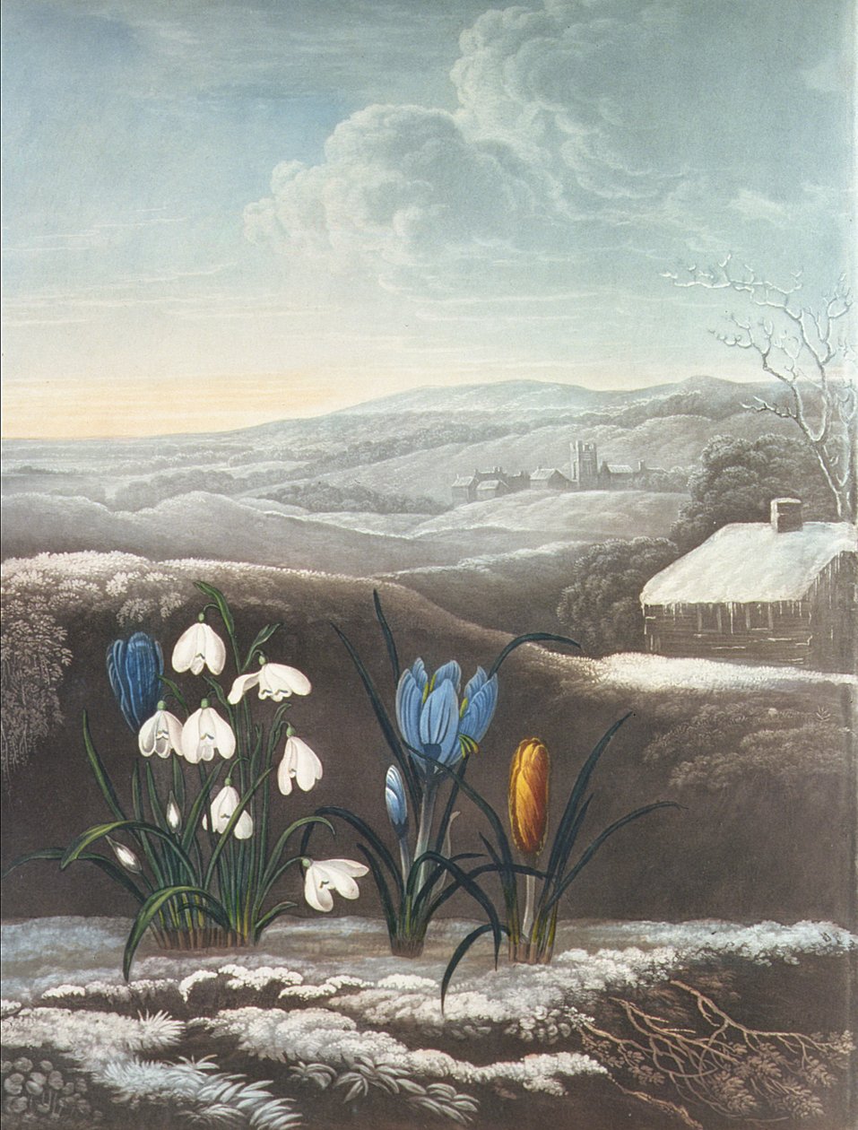 The Snowdrop by Abraham Pether