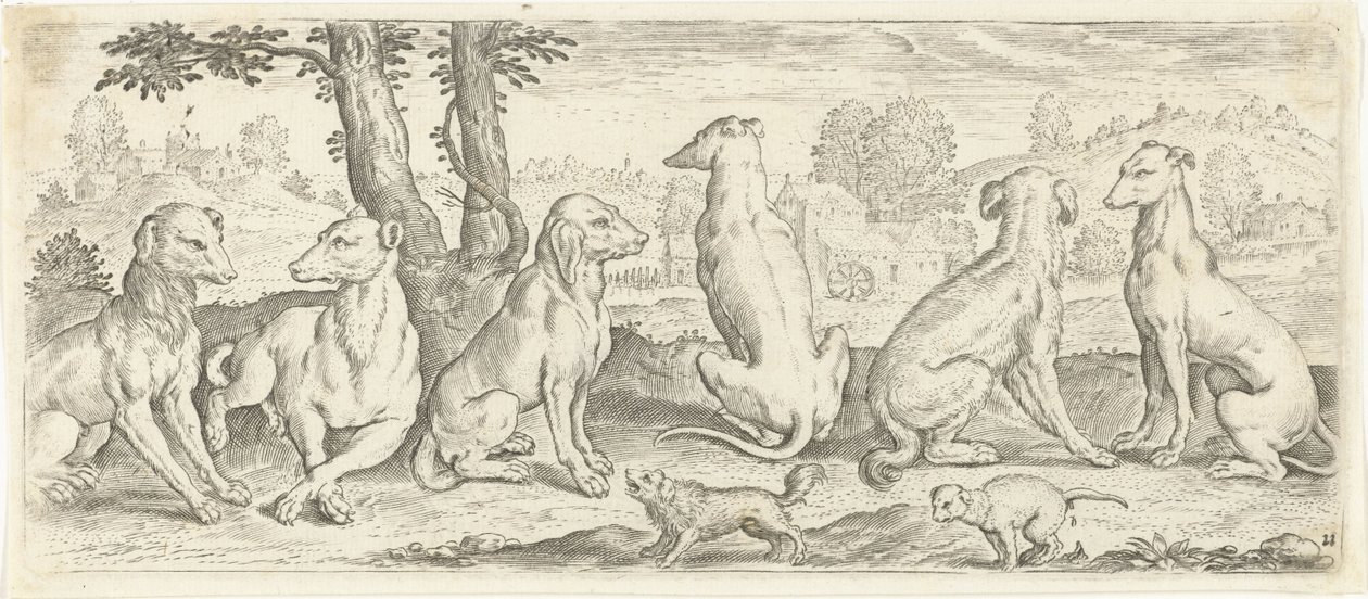Dogs (Animals) by Abraham de Bruyn (possibly)