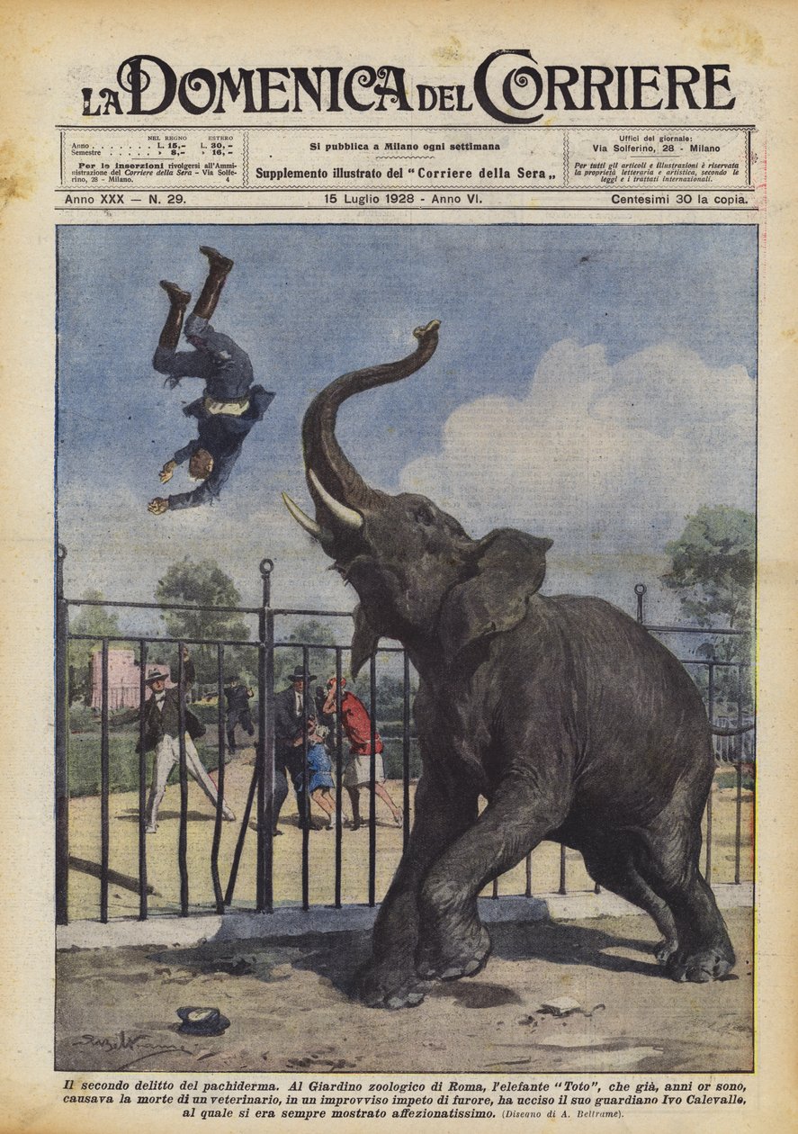 The Second Crime of the Pachyderm by Achille Beltrame