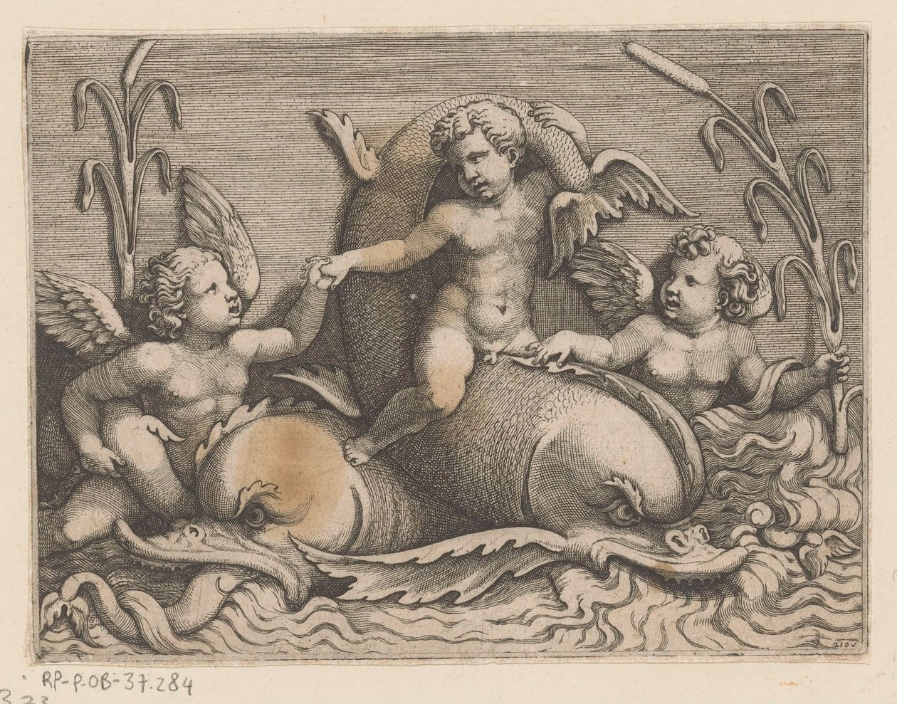 Three Putti with Dolphins by Adamo Scultori
