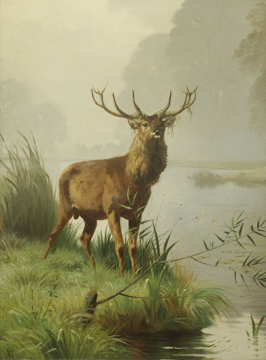 Red Deer by Adolf Mackeprang