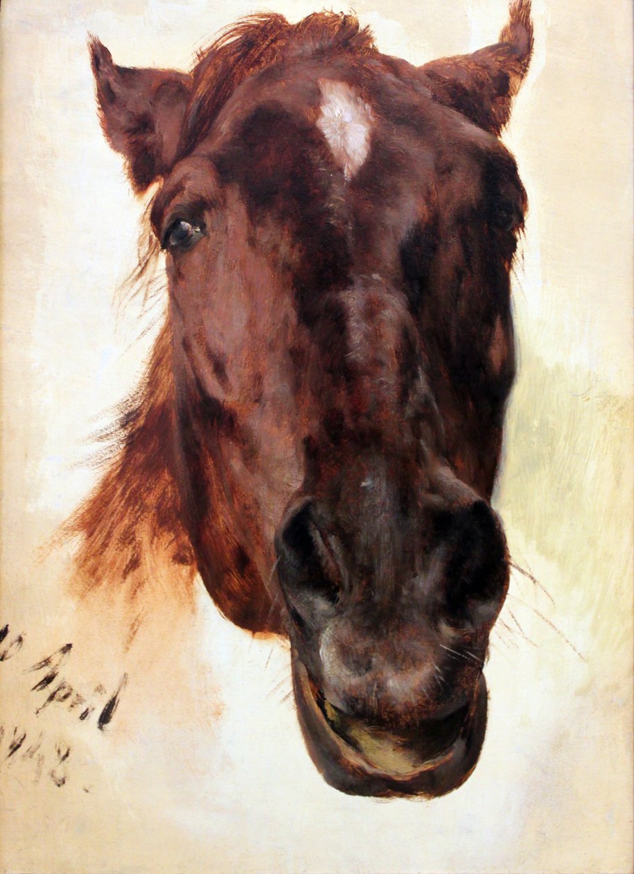 Horse Study by Adolph Menzel