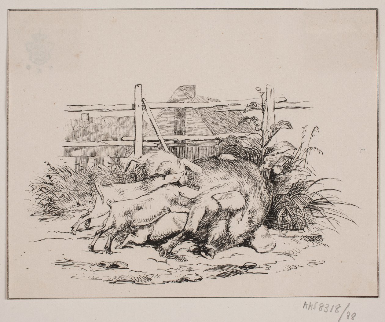 The Pigs by Johan Adolph Kittendorff
