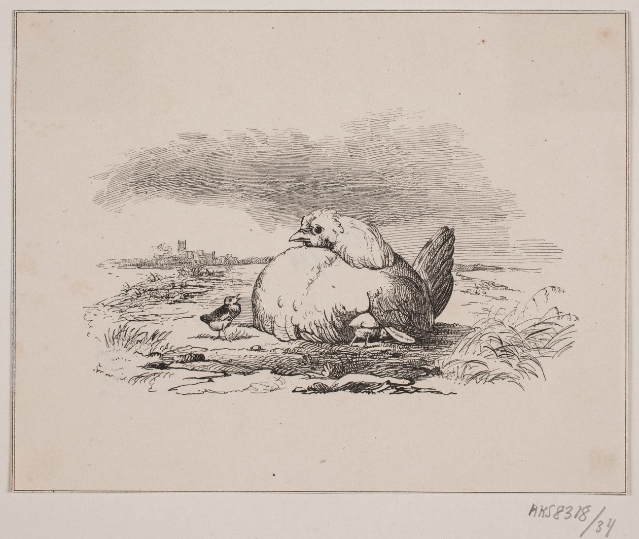 The Chicks by Johan Adolph Kittendorff
