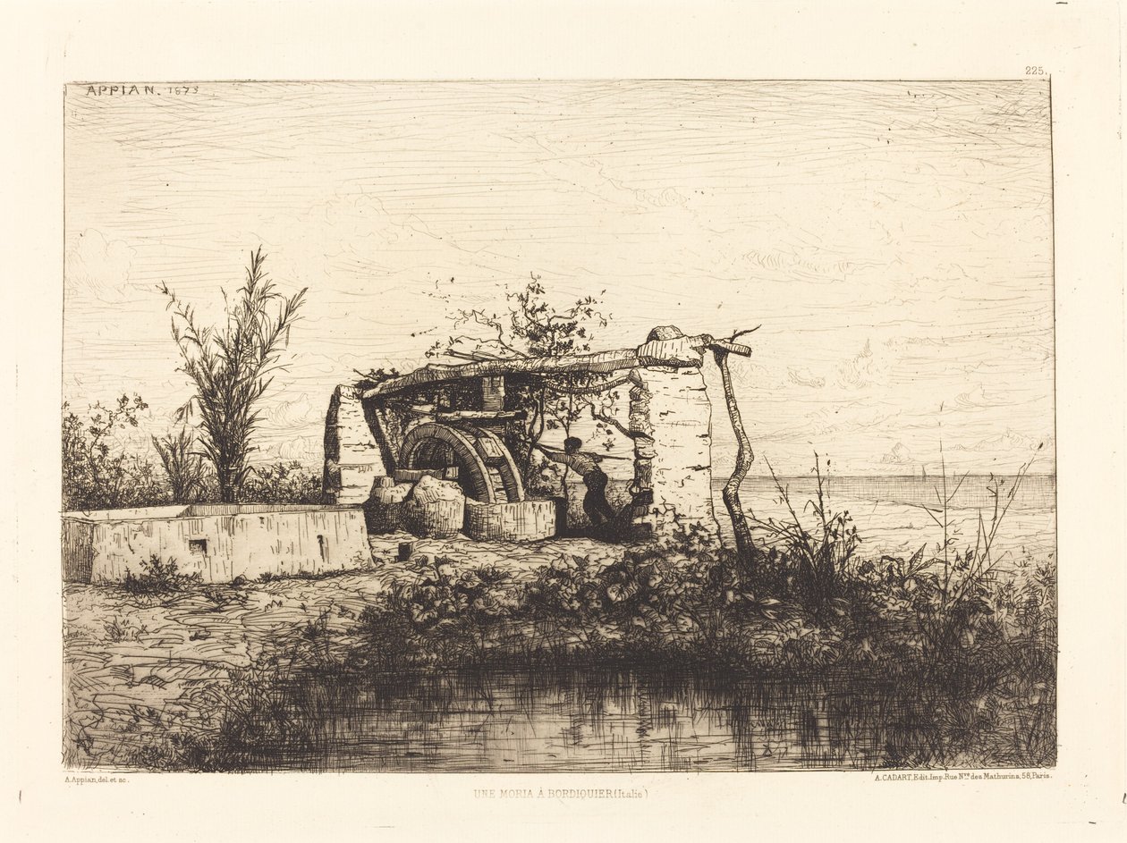 A Moria in Bordighera (Italy) by Adolphe Appian