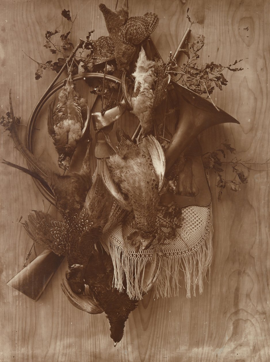 Pheasant and Grouse, ca. 1865 by Adolphe Braun