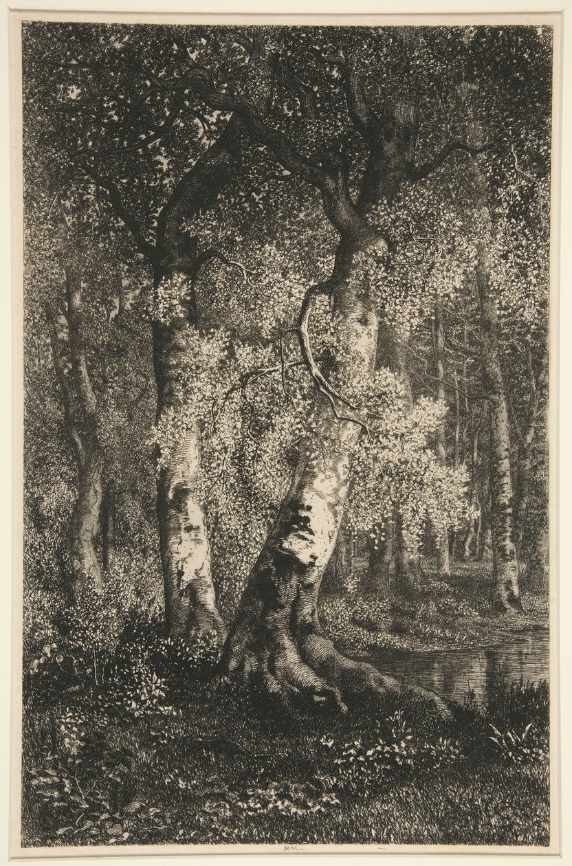 The Beeches by Adolphe Martial Potemont
