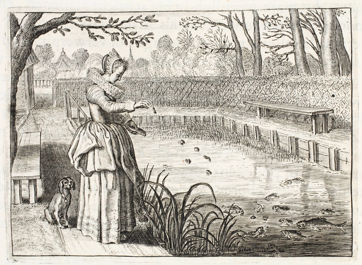 Feeding the fish, illustration from 