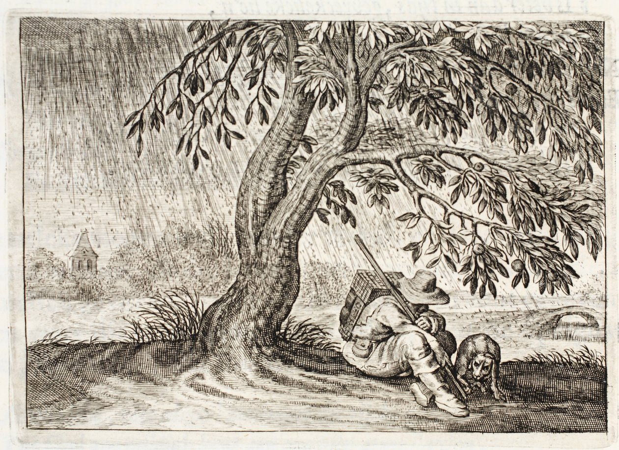 Shelter, illustration from 