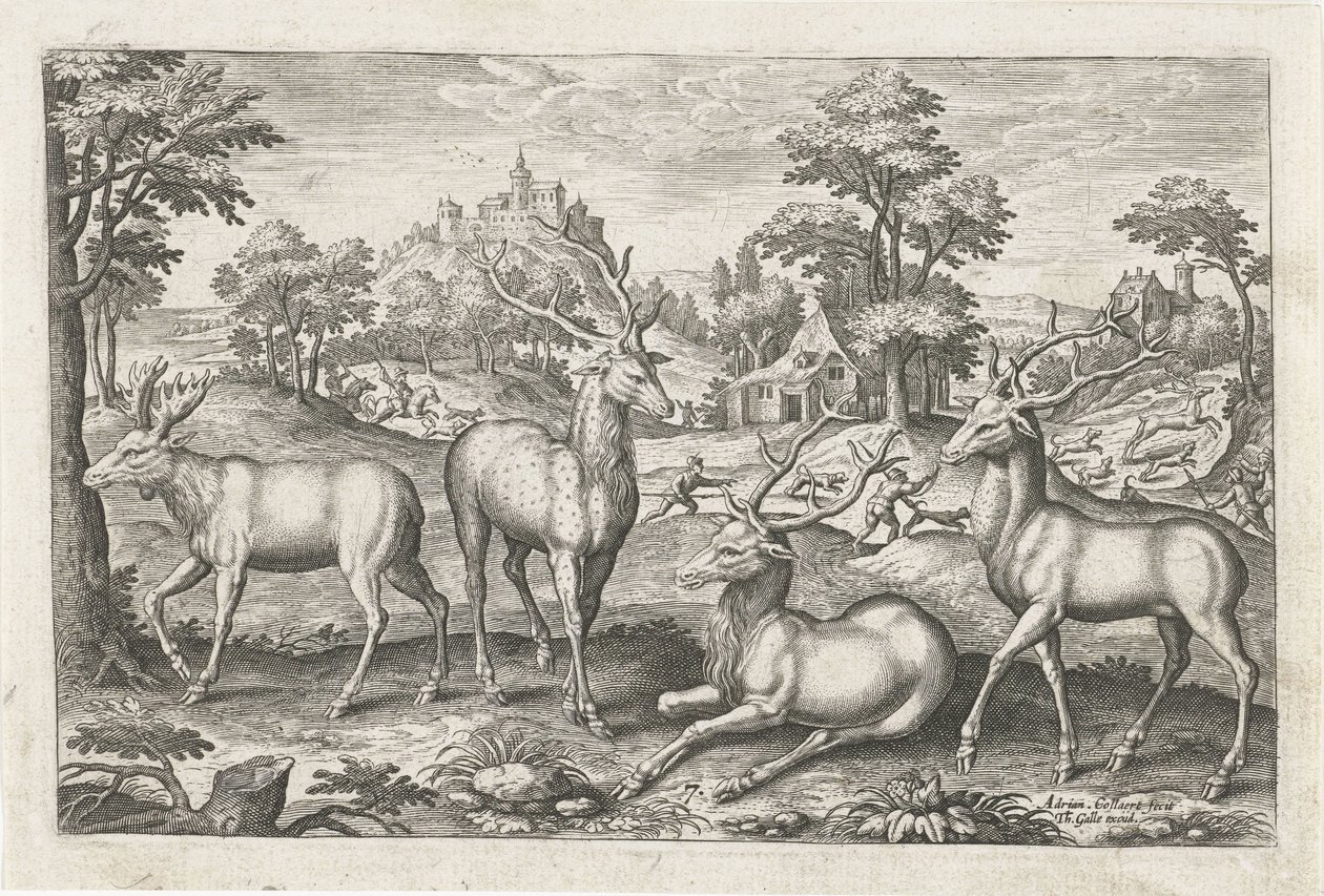 Deer by Adriaen Collaert