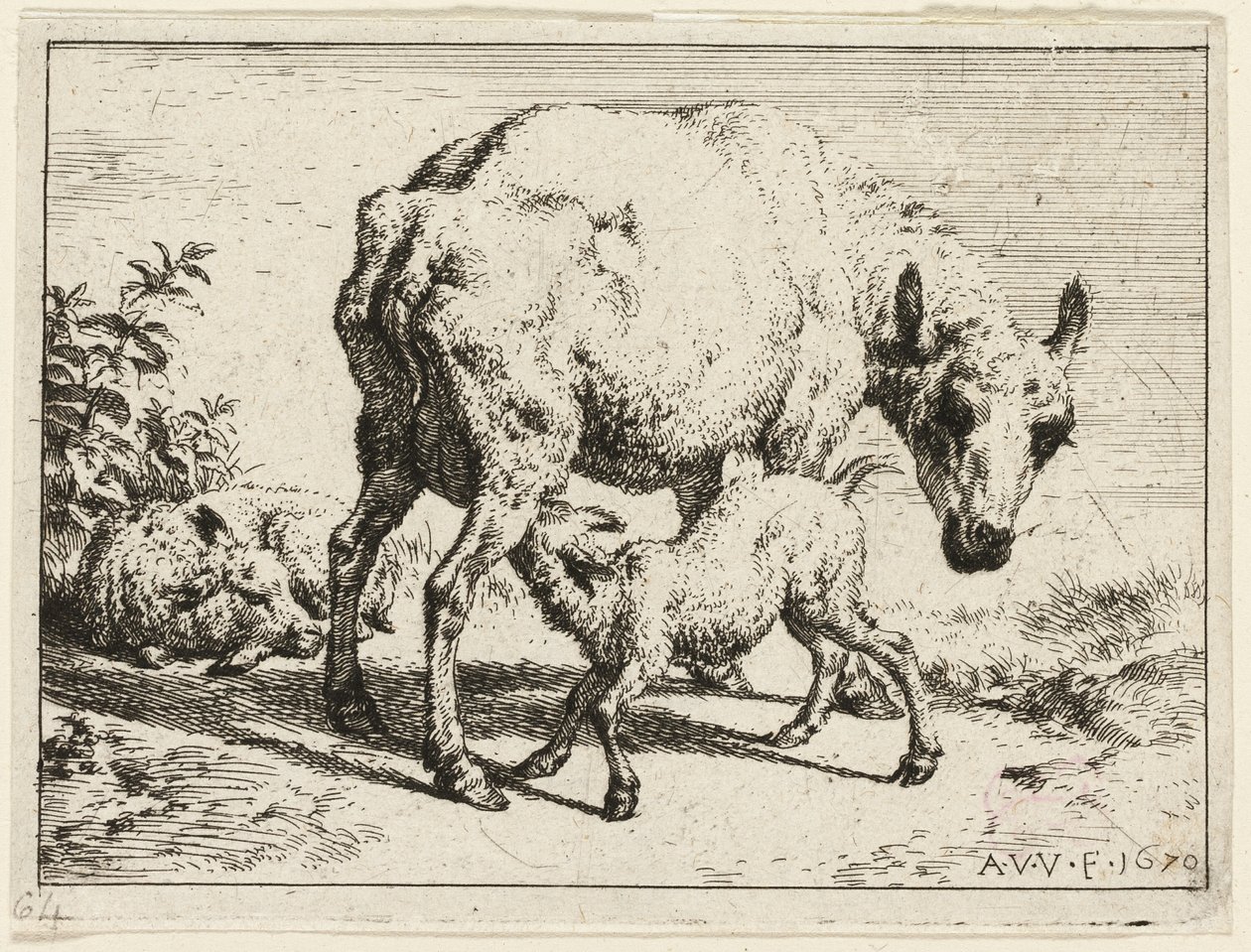 The Lamb by Adriaen van de Velde