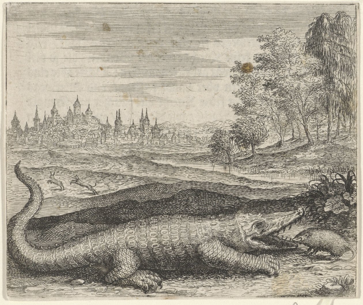 Fable of the Crocodile and Mongoose by Egidius  Sadeler (II)