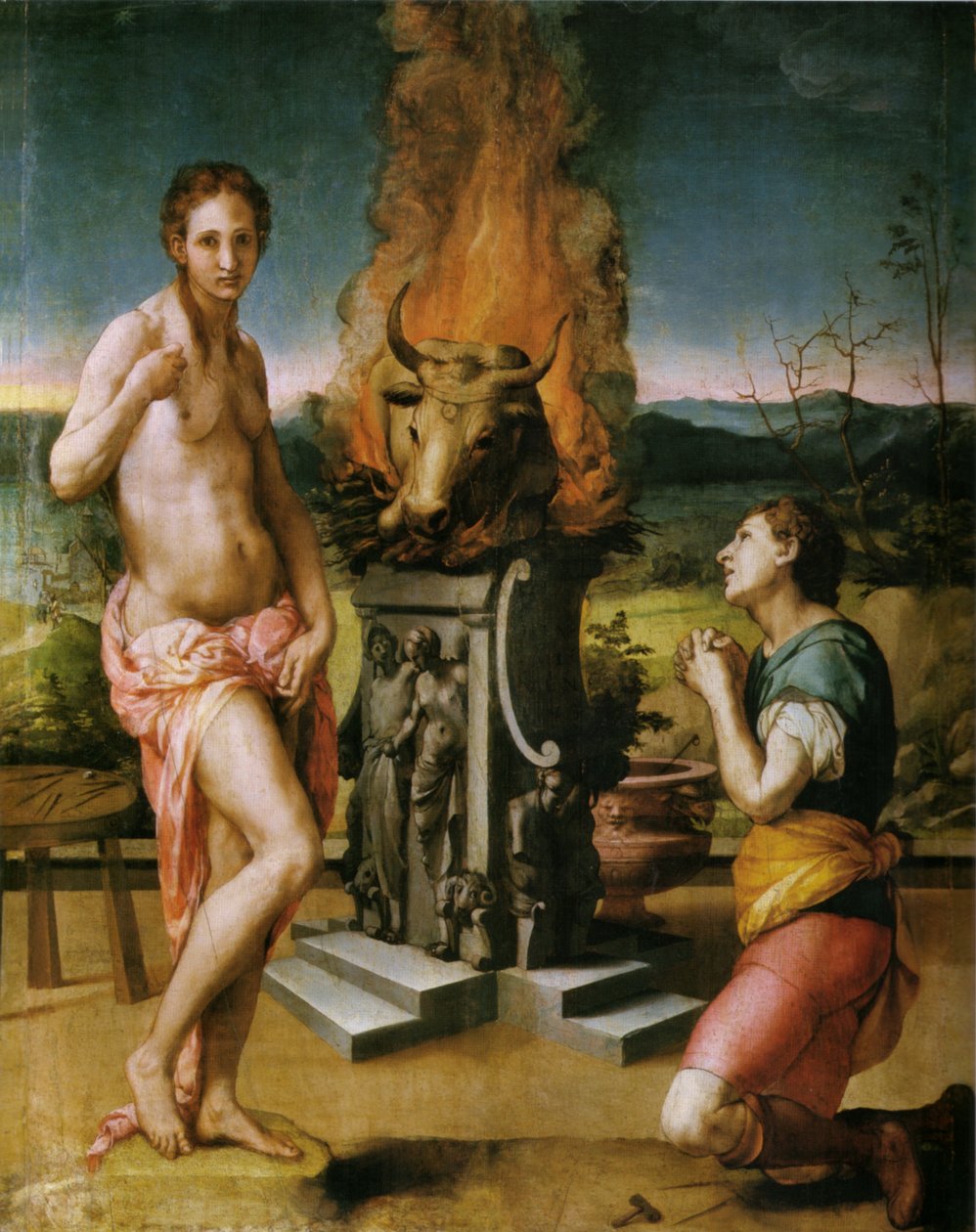 Pygmalion and Galatea by Agnolo Bronzino
