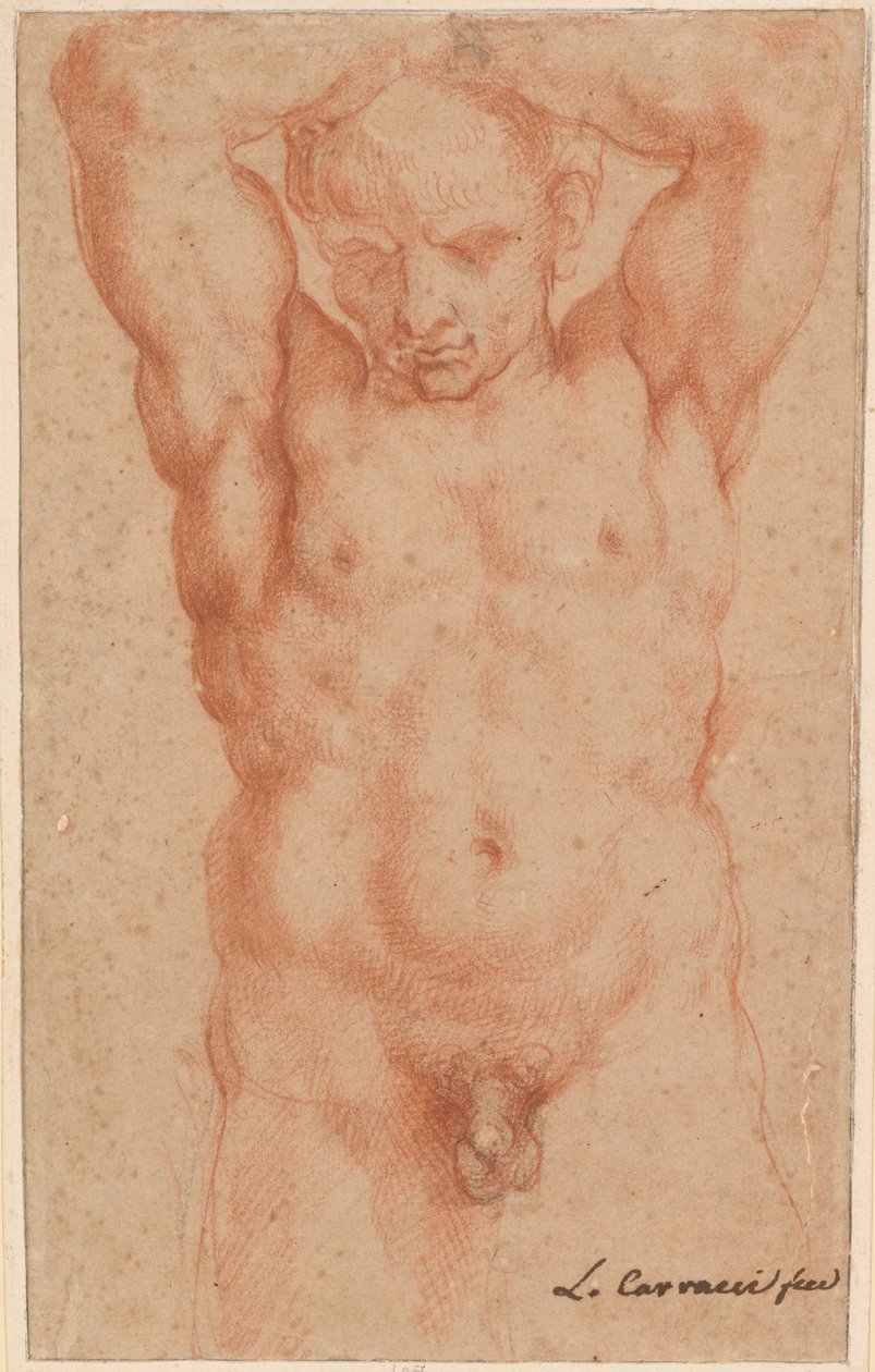 Male Nude by Agostino Carracci