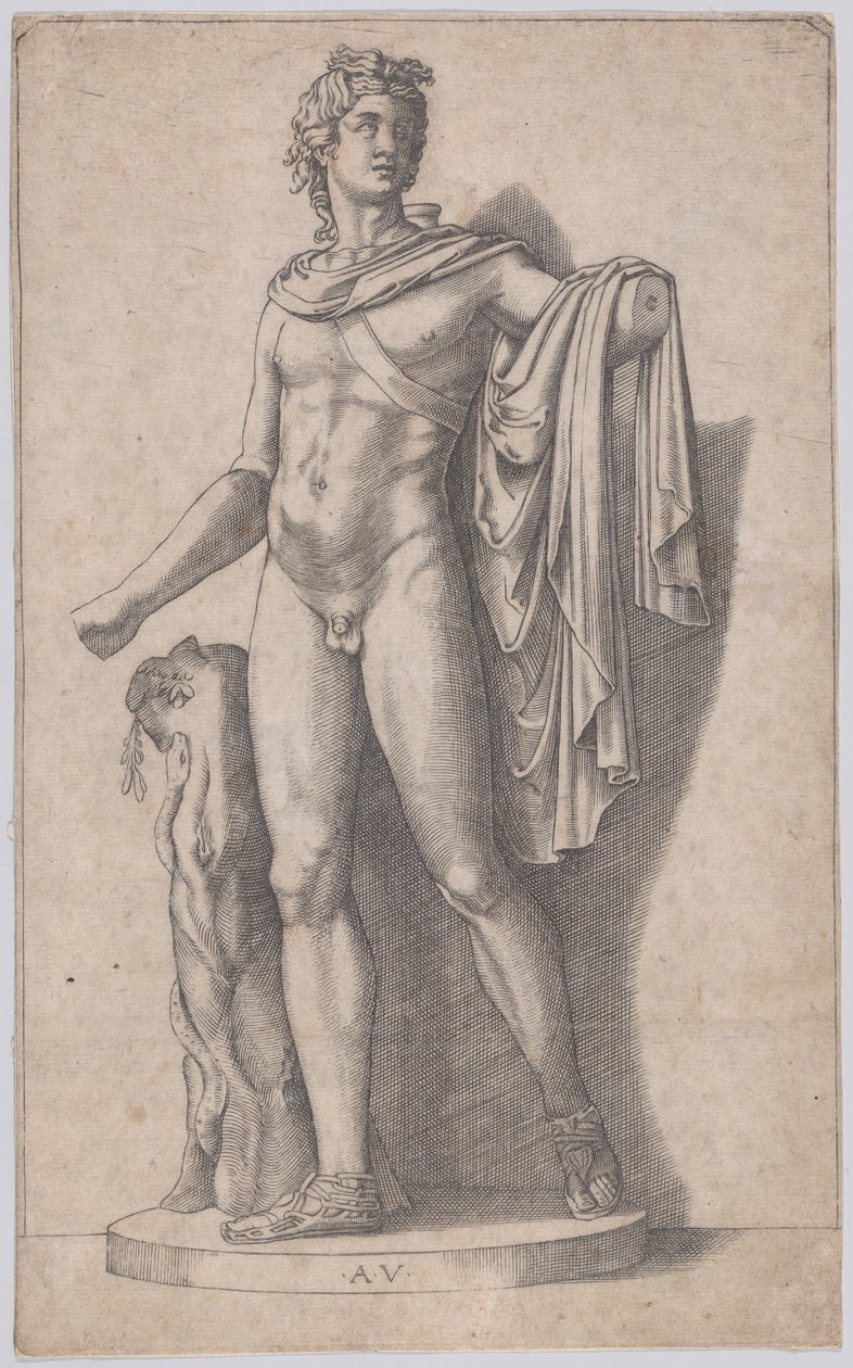 Apollo by Agostino Veneziano