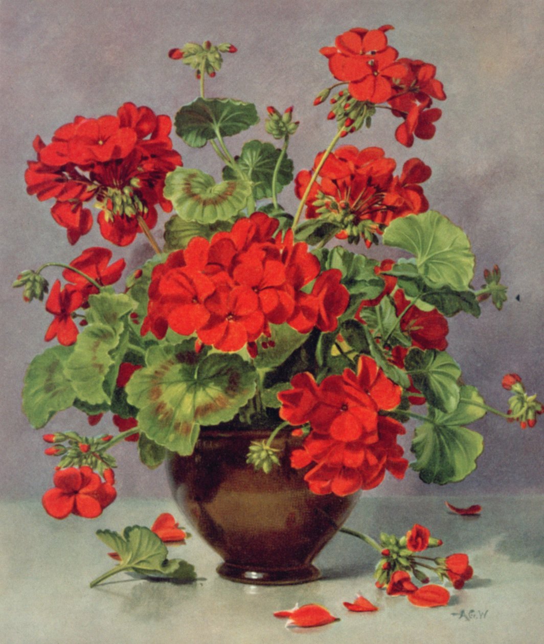 Geranium in an Earthenware Vase by Albert Williams