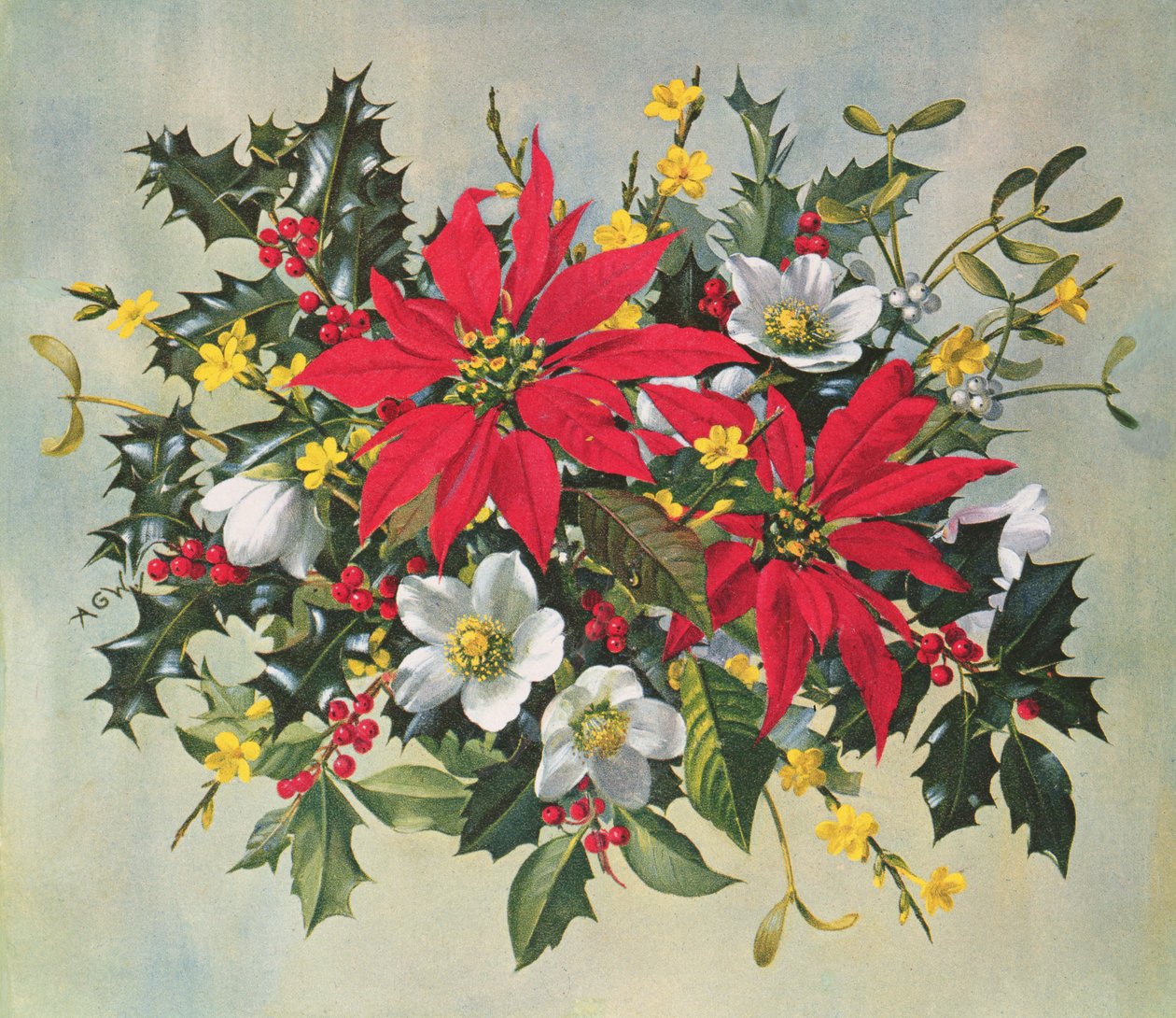 Christmas Flowers by Albert Williams