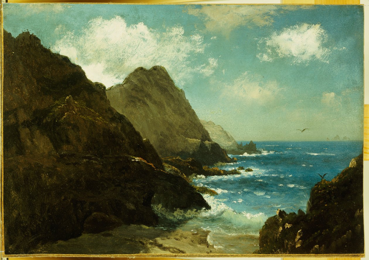 Farallon Islands by Albert Bierstadt