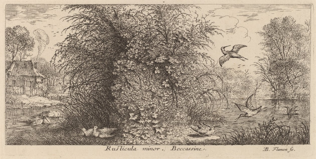 Rusticula minor, The Snipe by Albert Flamen