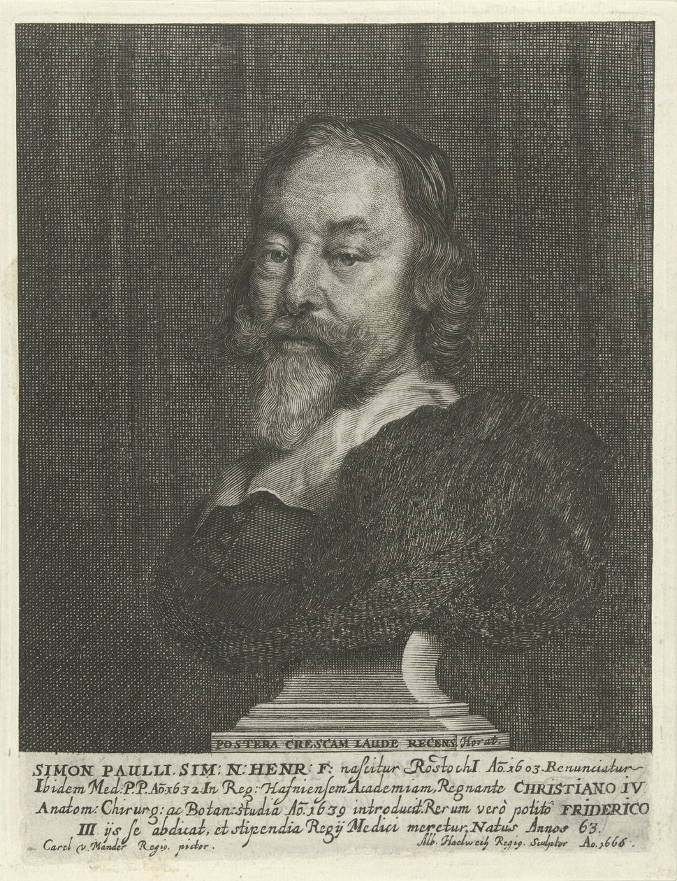 Bust of Simon Paulli by Albert Haelwegh
