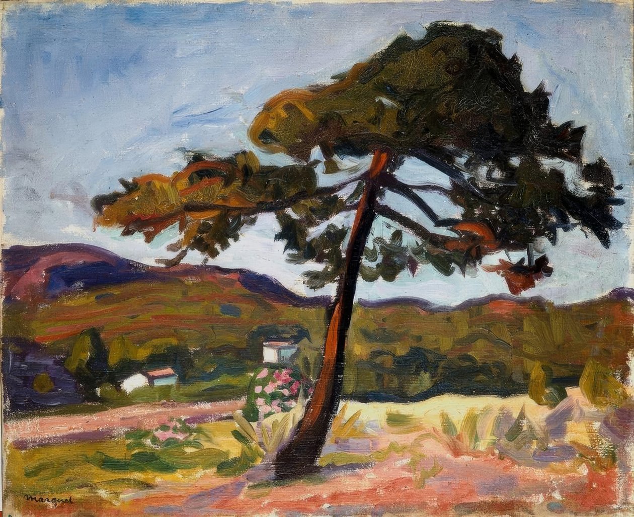 Pine Tree in St. Tropez by Albert Marquet