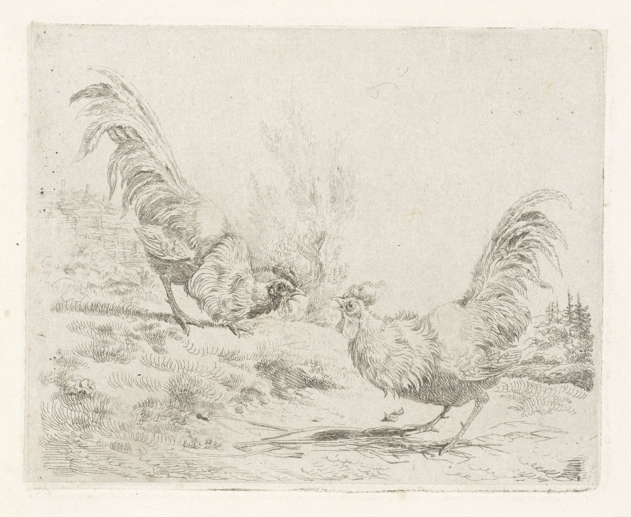 Two Fighting Roosters by Albertus Verhoesen