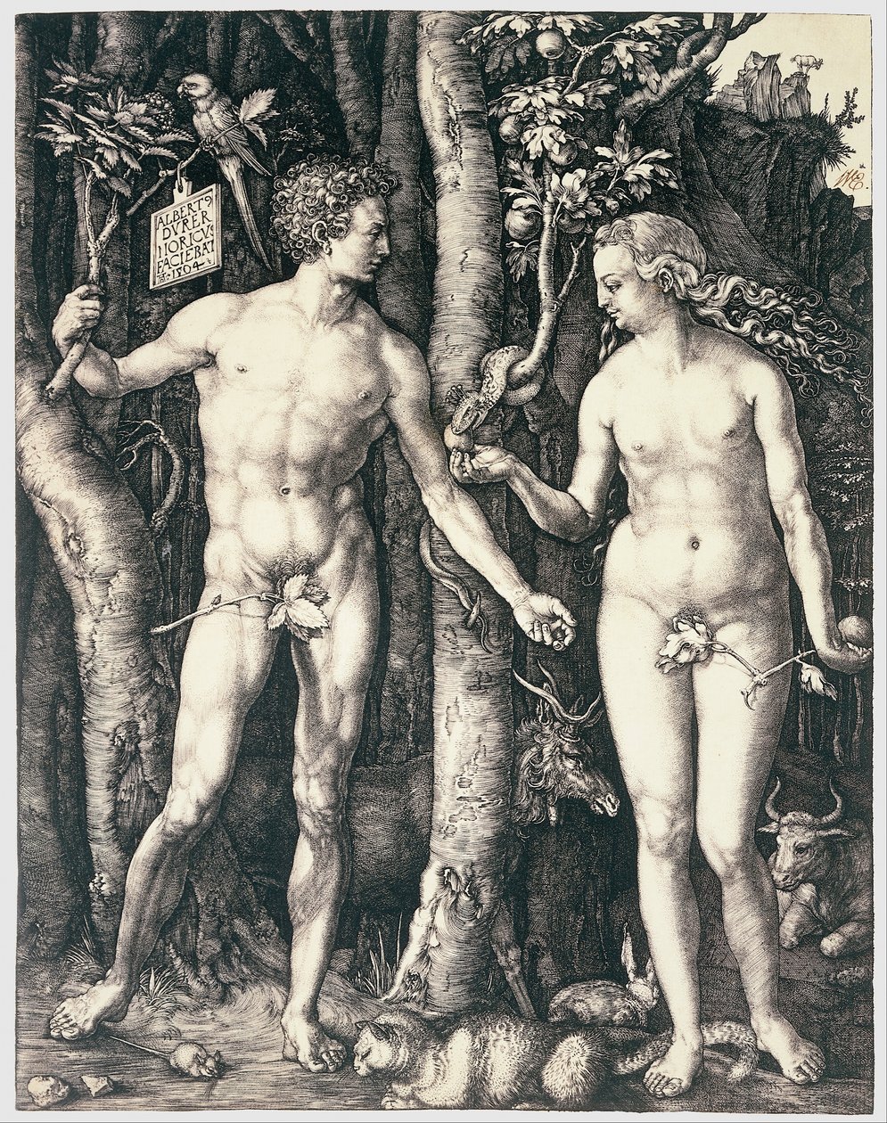 Adam and Eve by Albrecht Dürer